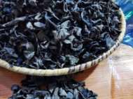 內(nèi)蒙古 鄂倫春黑木耳，